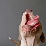 In Erika's World It's Always Sunshine Yellow Erika Femrite